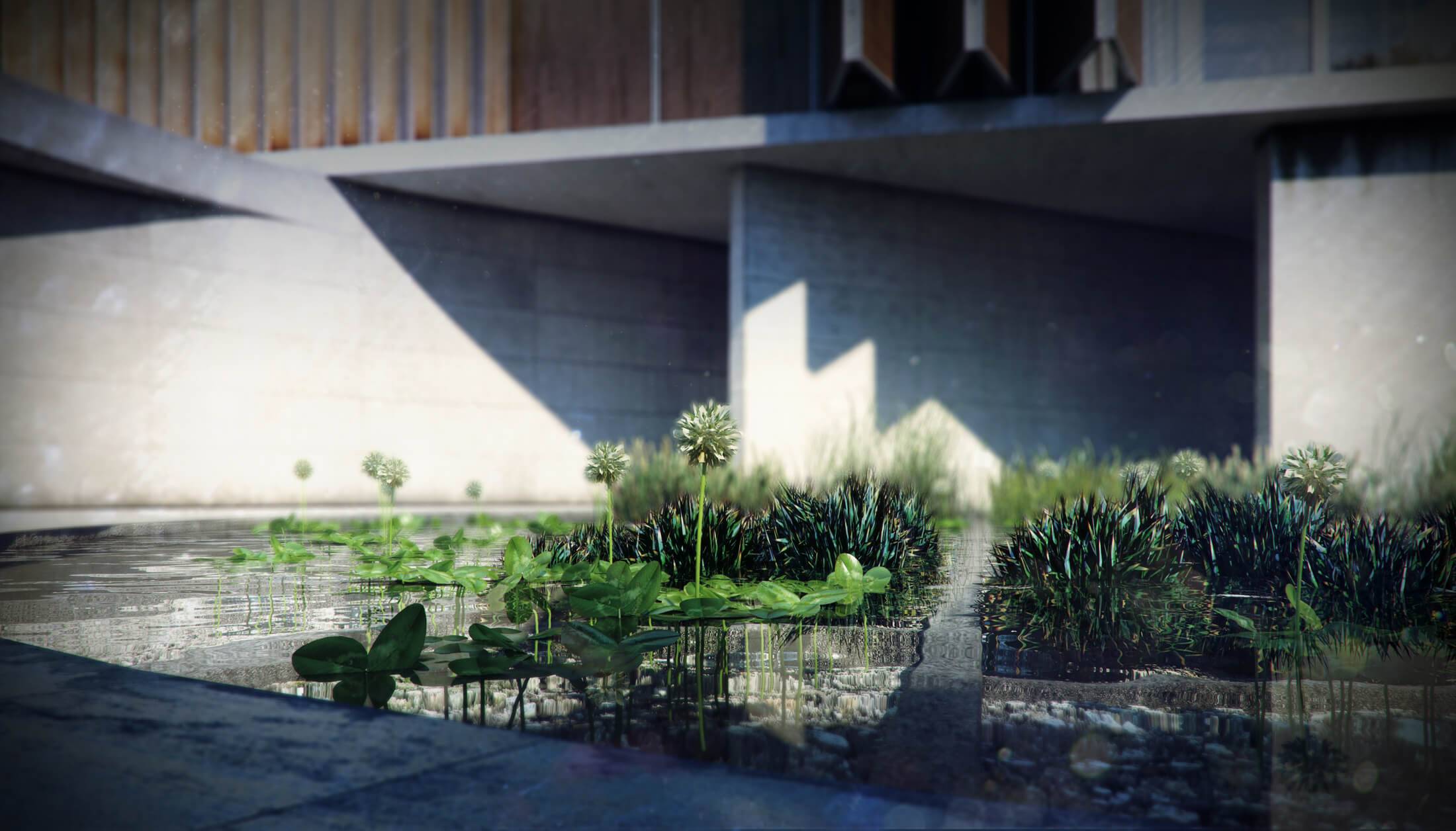 Public001Library003